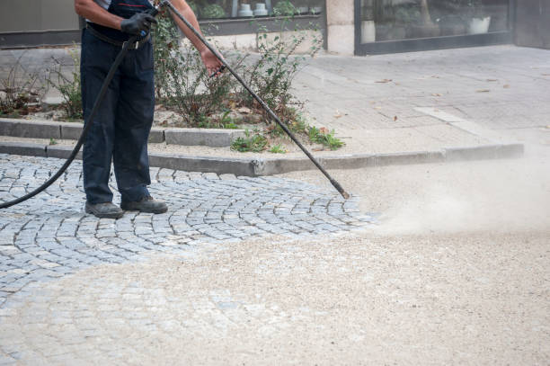 Best Pre-Holiday Cleaning  in Rockford, IL