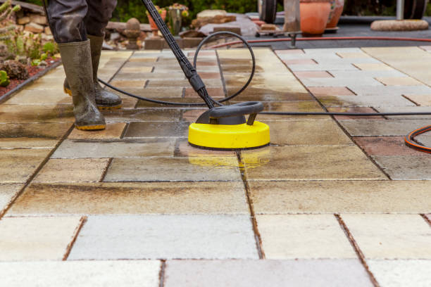 Best Roof Washing  in Rockford, IL
