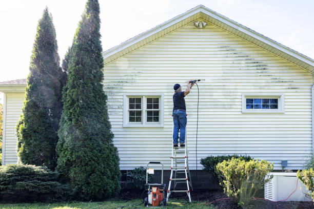 Animal Enclosure Cleaning in Rockford, IL