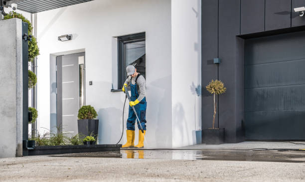 Best Paint Preparation  in Rockford, IL
