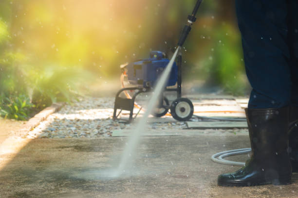 Best Animal Enclosure Cleaning  in Rockford, IL
